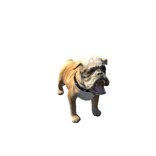 Bulldog_SV_RM (1)